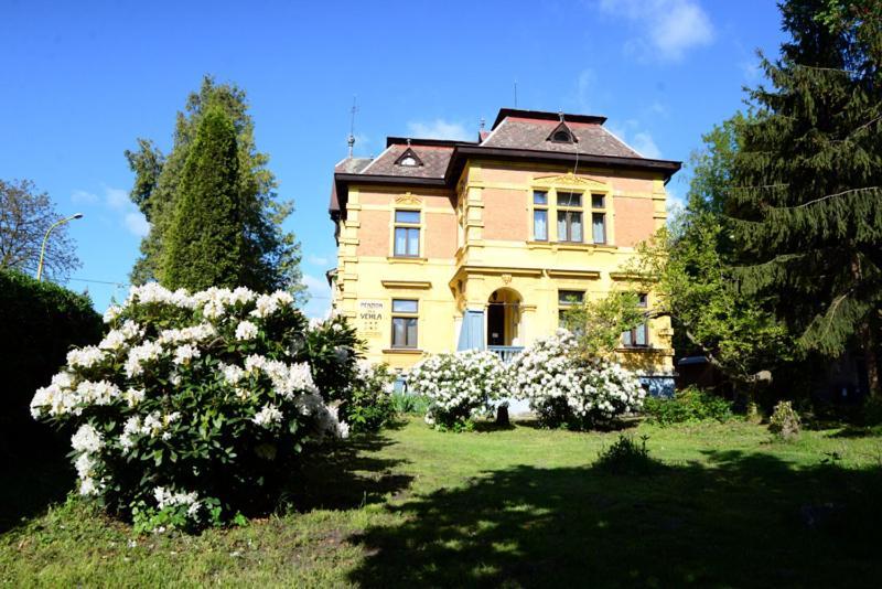 Vila Jehla Hotel Ceska Kamenice Exterior photo